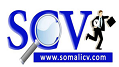 Somali CV